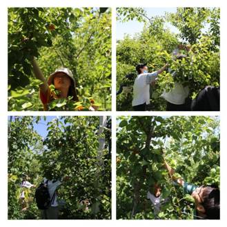 稿定设计导出-20210607-095355(1)